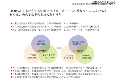 CRSM模型與LWC咨詢服務(wù)模式在網(wǎng)絡(luò)技術(shù)服務(wù)中的創(chuàng)新應(yīng)用